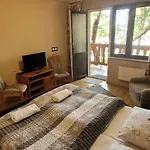 Bed & Breakfast Dworek Goscinne Olsztyn (Silesia)